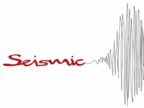 SEISMIC Logo (USPTO, 02.04.2010)