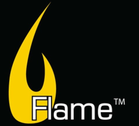 FLAME Logo (USPTO, 31.01.2011)