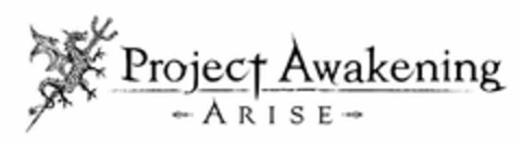 PROJECT AWAKENING ARISE Logo (USPTO, 15.01.2019)
