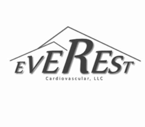 EVEREST CARDIOVASCULAR, LLC Logo (USPTO, 12.02.2019)