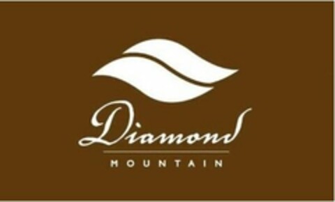 DIAMOND MOUNTAIN Logo (USPTO, 14.08.2020)