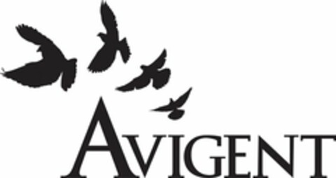 AVIGENT Logo (USPTO, 13.02.2009)