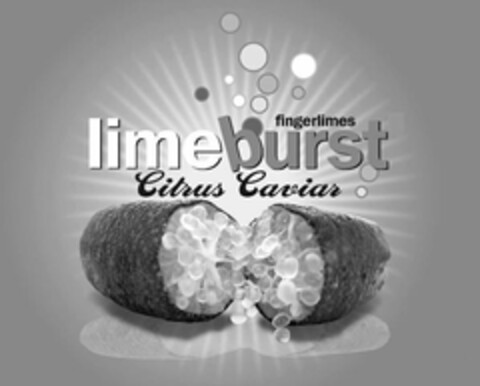 FINGERLIMES LIMEBURST CITRUS CAVIAR Logo (USPTO, 11/04/2011)