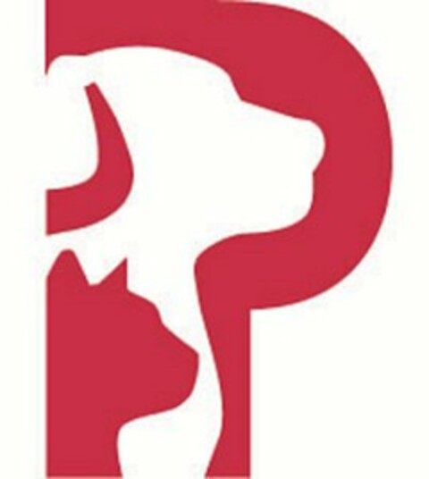 P Logo (USPTO, 21.05.2013)