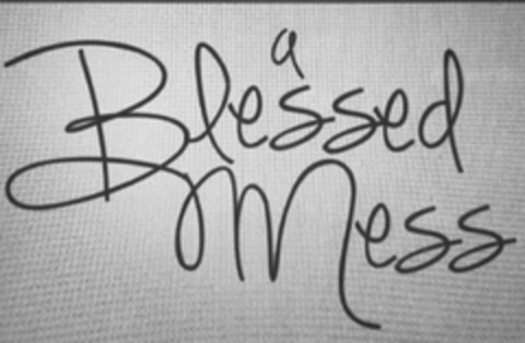 A BLESSED MESS Logo (USPTO, 11/07/2014)