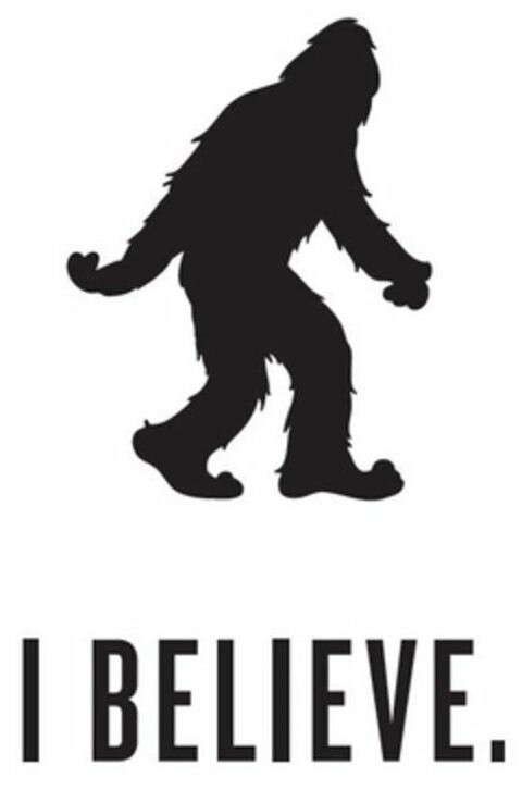 I BELIEVE. Logo (USPTO, 03/15/2016)