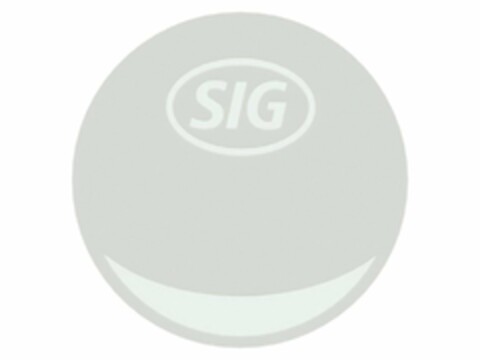 SIG Logo (USPTO, 23.08.2019)