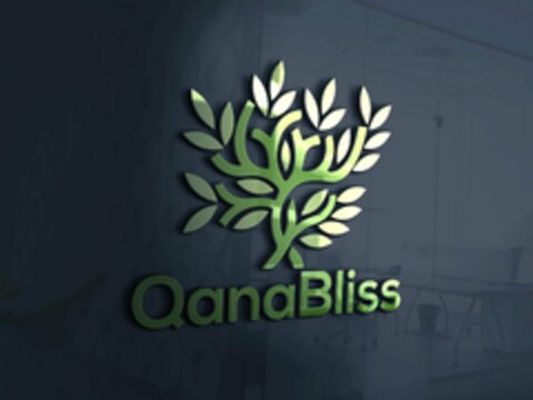 QANABLISS Logo (USPTO, 04.11.2019)