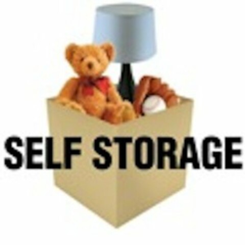 SELF STORAGE Logo (USPTO, 22.12.2010)