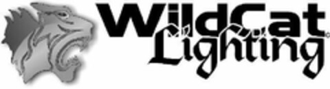 WILDCAT LIGHTING Logo (USPTO, 18.04.2011)