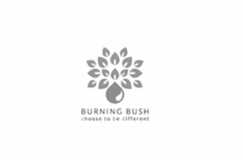 BURNING BUSH CHOOSE TO BE DIFFERENT Logo (USPTO, 07/24/2019)
