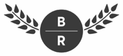B R Logo (USPTO, 31.10.2019)