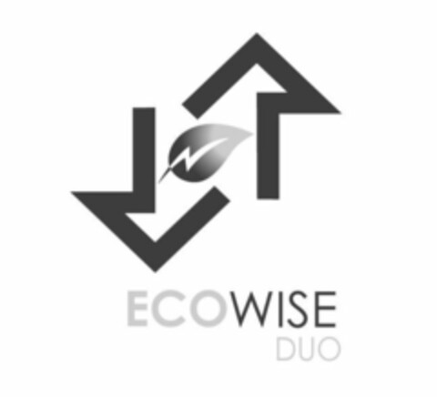 ECOWISE DUO Logo (USPTO, 27.09.2010)