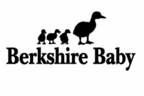 BERKSHIRE BABY Logo (USPTO, 22.01.2009)