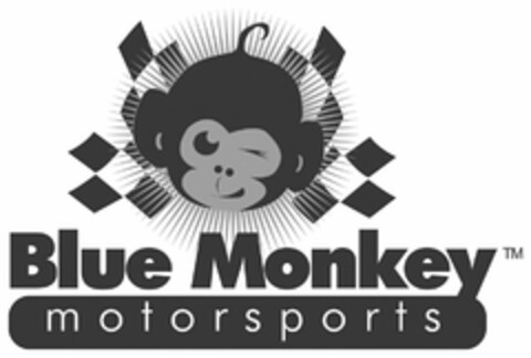 BLUE MONKEY MOTORSPORTS Logo (USPTO, 30.03.2010)