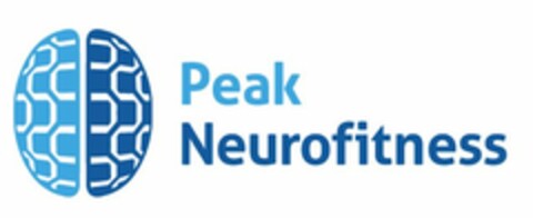 PEAK NEUROFITNESS Logo (USPTO, 12.06.2010)