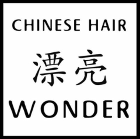 CHINESE HAIR WONDER Logo (USPTO, 01/17/2012)