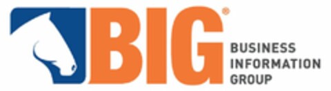 BIG BUSINESS INFORMATION GROUP Logo (USPTO, 18.12.2015)