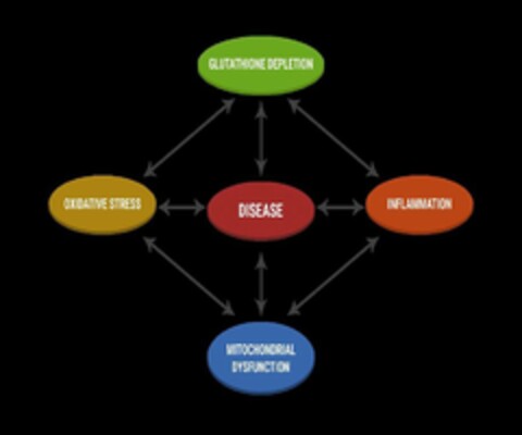 GLUTATHIONE DEPLETION, INFLAMMATION, MITOCHONDRIAL DYSFUNCTION, OXIDATIVE STRESS, DISEASE Logo (USPTO, 12/14/2017)