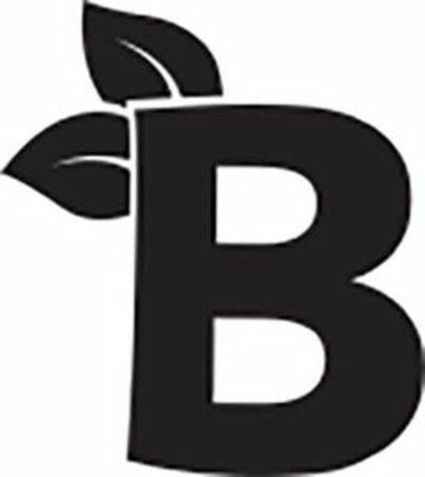 B Logo (USPTO, 08/19/2019)