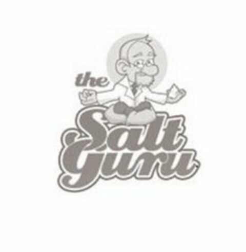 THE SALT GURU Logo (USPTO, 16.07.2012)