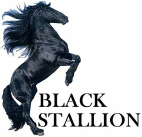 BLACK STALLION Logo (USPTO, 05.07.2015)