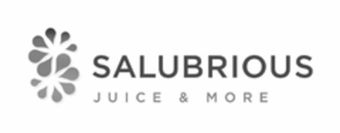 S SALUBRIOUS JUICE & MORE Logo (USPTO, 25.04.2017)
