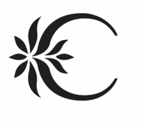 C Logo (USPTO, 29.05.2014)