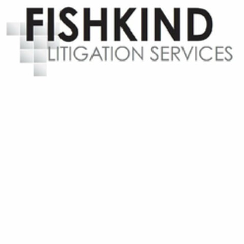 FISHKIND LITIGATION SERVICES Logo (USPTO, 25.01.2019)