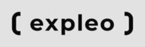 EXPLEO Logo (USPTO, 03/06/2019)