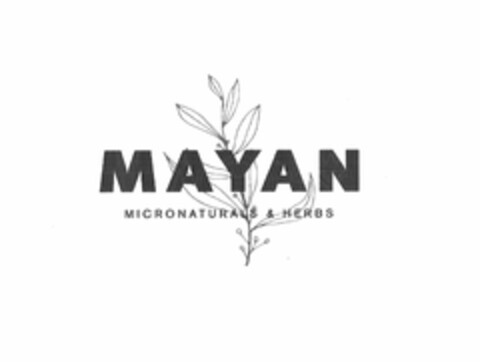 MAYAN MICRONATURALS & HERBS Logo (USPTO, 21.06.2019)