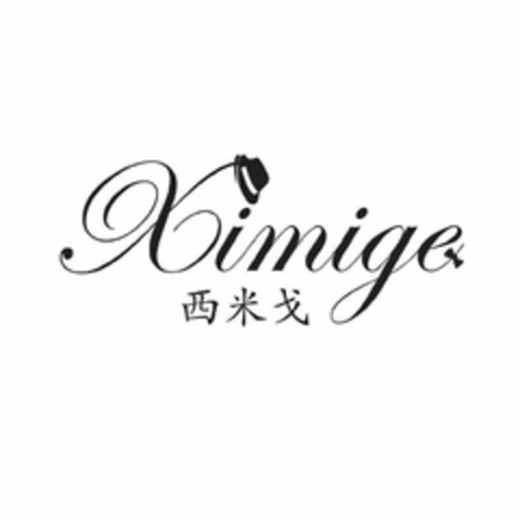 XIMIGE Logo (USPTO, 03/30/2020)