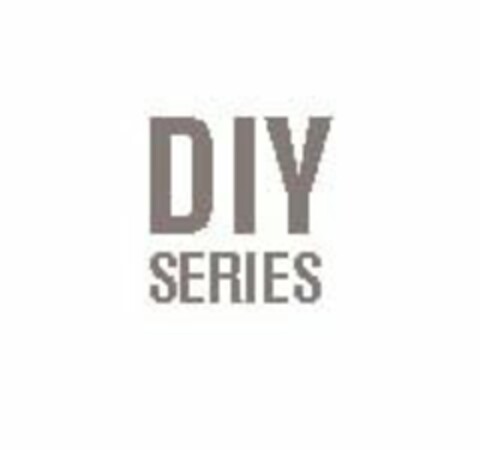 DIY SERIES Logo (USPTO, 01.04.2014)