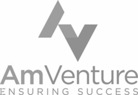 AV AMVENTURE ENSURING SUCCESS Logo (USPTO, 04/28/2017)