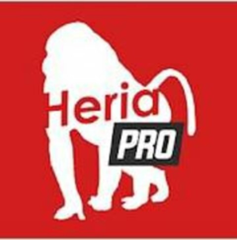 HERIA PRO Logo (USPTO, 13.11.2018)