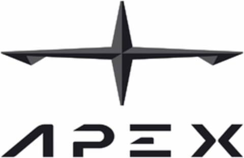 APEX Logo (USPTO, 30.12.2019)