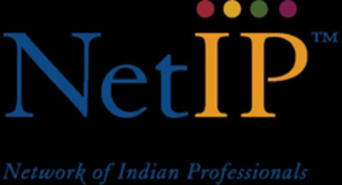 NETIP NETWORK OF INDIAN PROFESSIONALS Logo (USPTO, 29.12.2009)