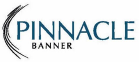 PINNACLE BANNER Logo (USPTO, 02/08/2010)