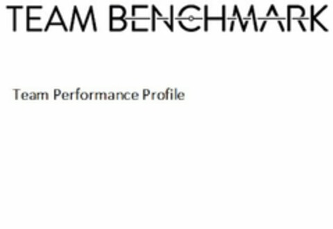 TEAM BENCHMARK TEAM PERFORMANCE PROFILE Logo (USPTO, 08/01/2012)