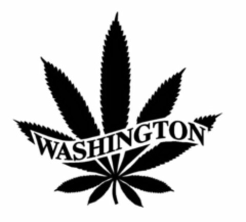 WASHINGTON Logo (USPTO, 04/17/2013)