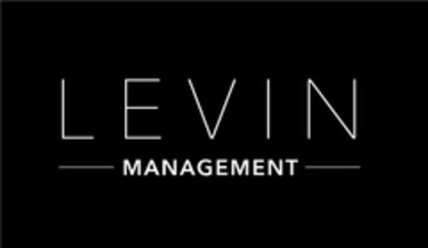 LEVIN MANAGEMENT Logo (USPTO, 19.11.2013)