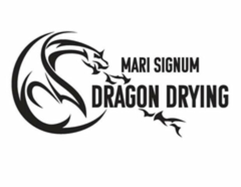 MARI SIGNUM DRAGON DRYING Logo (USPTO, 06.03.2018)