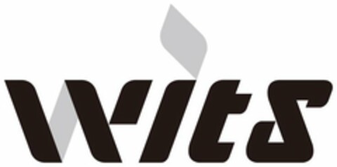 WITS Logo (USPTO, 11.03.2020)