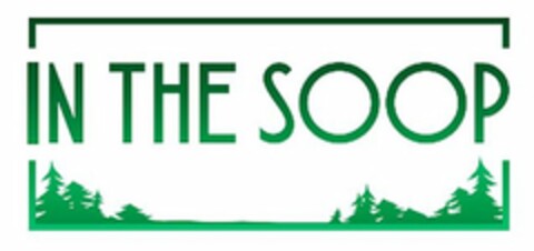 IN THE SOOP Logo (USPTO, 03.08.2020)