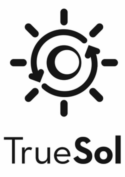 TRUE SOL Logo (USPTO, 08.01.2010)