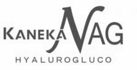 KANEKA NAG HYALUROGLUCO Logo (USPTO, 20.12.2012)