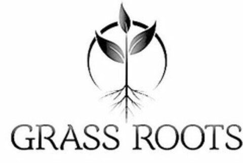 GRASS ROOTS Logo (USPTO, 03.09.2014)