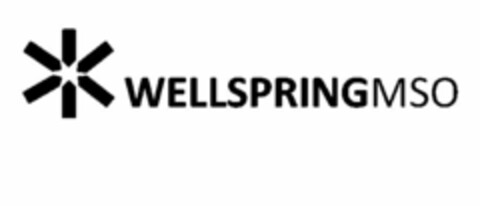 WELLSPRINGMSO Logo (USPTO, 29.09.2014)