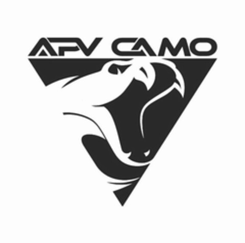 APV CAMO Logo (USPTO, 14.01.2020)