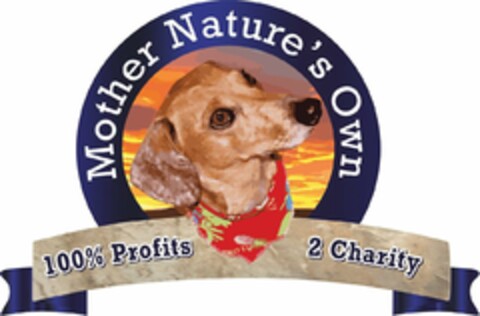 MOTHER NATURE'S OWN 100% PROFITS 2 CHARITY Logo (USPTO, 03.04.2020)